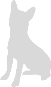 Punkt Hundefreizeit